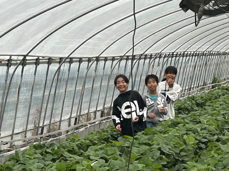 画像中央上